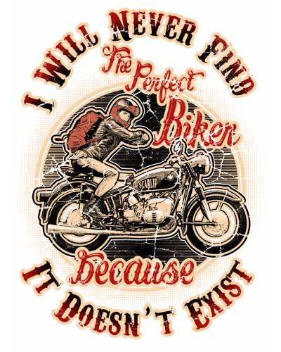 Camiseta I will Never Find the perfect biker | Camiseta Custom Racing